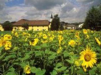 фото отеля Fruhstuckshof Falzberger