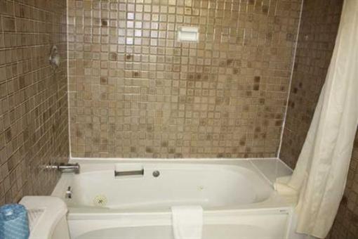 фото отеля Toronto Plaza Airport Hotel