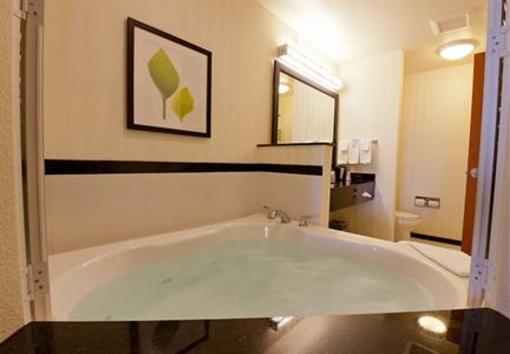 фото отеля Fairfield Inn & Suites Flint Fenton