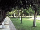 фото отеля Hotel El Pilar La Carlota
