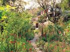 фото отеля Shaheen Bagh Boutique Resort Dehradun