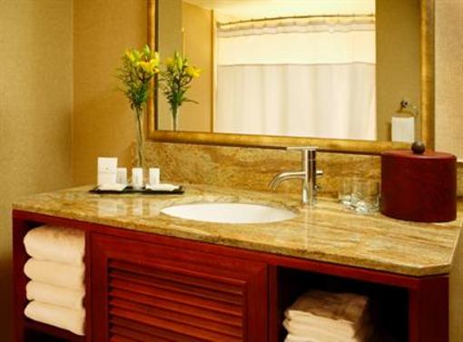 фото отеля Crowne Plaza Houston River Oaks