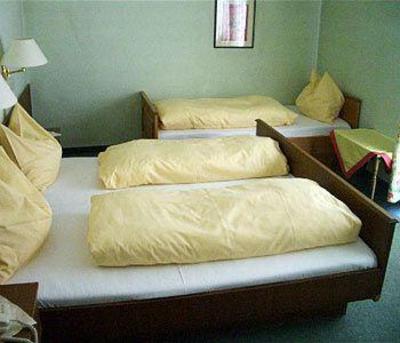 фото отеля Kogele Hotel Axams