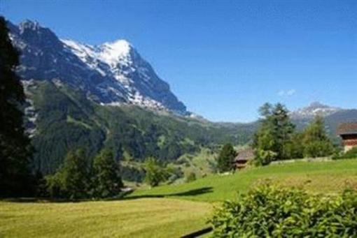 фото отеля Nussbaum Apartment Grindelwald