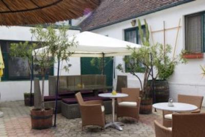 фото отеля Hotel Turmhof Breitenbrunn (Burgenland)