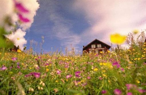 фото отеля Hotel Jungfrau