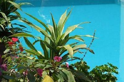 фото отеля Basadre Suites Boutique Hotel