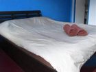 фото отеля Peppermint Guesthouse