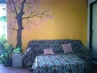 фото отеля Peppermint Guesthouse