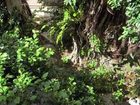 фото отеля Hyakunagaran