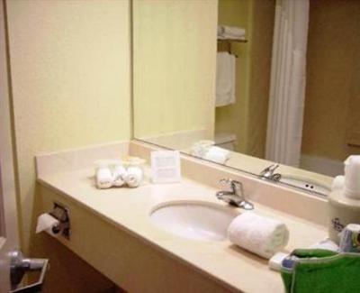 фото отеля Holiday Inn Express Orlando Airport