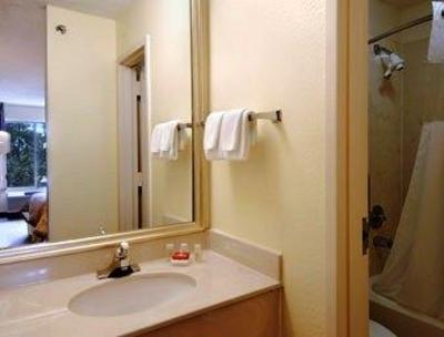 фото отеля Ramada Inn Convention Center I-Drive