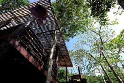 фото отеля Sunwaree Phi Phi Resort