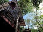 фото отеля Sunwaree Phi Phi Resort