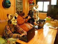 Backpackers Inside