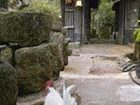фото отеля Shinmeikan Onsen