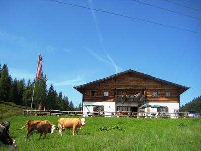 фото отеля Dientalm Hutte