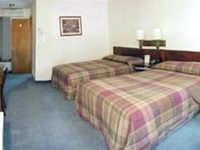 Black Bear Motel