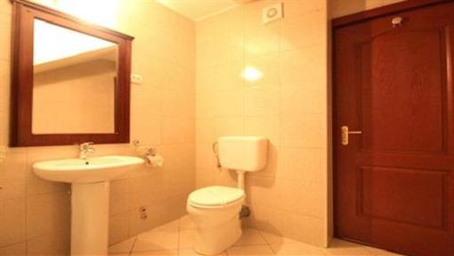 фото отеля Pension Flora Targu Mures