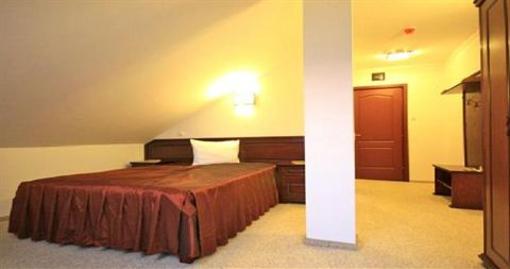фото отеля Pension Flora Targu Mures