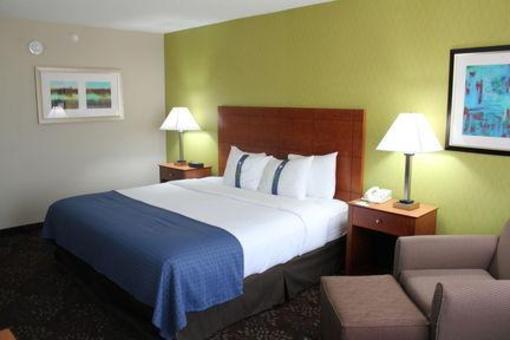 фото отеля Holiday Inn Matteson