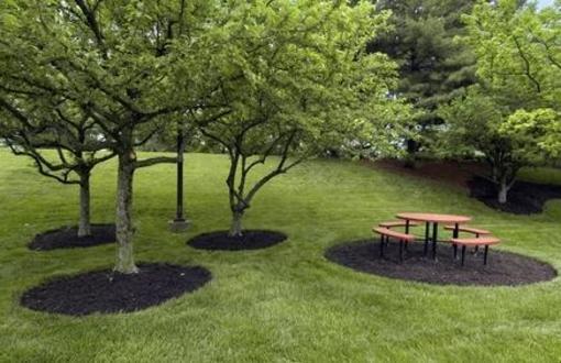 фото отеля Red Roof Inn Cincinnati Northeast - Blue Ash