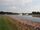 фото отеля Hampton Inn Plover / Stevens Point