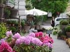 фото отеля Frogner House Apartments