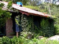 The Cottage, Jeolikot, 17 kms from Nainital