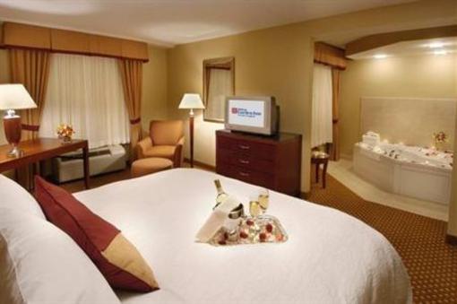 фото отеля Hilton Garden Inn Toronto/Vaughan