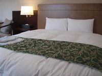 Higashi Hiroshima Green Hotel Morris