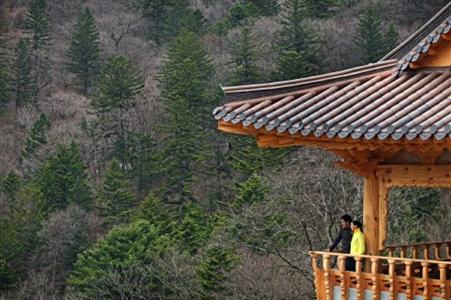 фото отеля InterContinental Alpensia Pyeongchang Resort