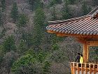 фото отеля InterContinental Alpensia Pyeongchang Resort