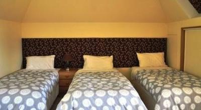 фото отеля Shamrock Garden B&B