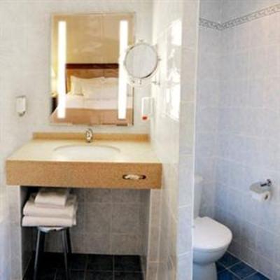 фото отеля Best Western Grand Hotel Les Capitouls Toulouse