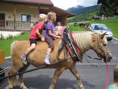фото отеля Ferienwohnungen Schwabhof Kleinarl