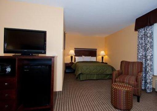 фото отеля Comfort Inn & Suites Mount Pleasant