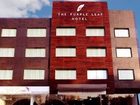 фото отеля The Purple Leaf Hotel
