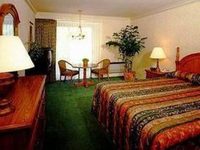 Lombard Motor Inn