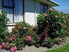 фото отеля Canterbury Court Motel