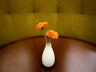 фото отеля Hilton Garden Inn Eugene / Springfield