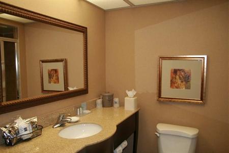 фото отеля Hampton Inn Houston - Near The Galleria