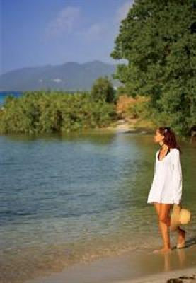 фото отеля The Ritz-Carlton Hotel Saint Thomas (Virgin Islands, U.S.)