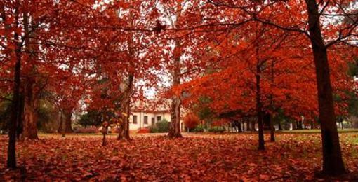 фото отеля Estancia La Horqueta