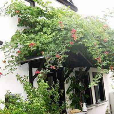 фото отеля Herberge in Der