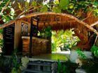 фото отеля Coco Tulum Hotel