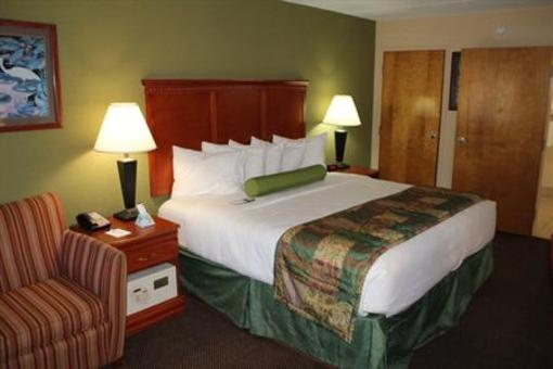 фото отеля BEST WESTERN Plus Celebration Inn & Suites