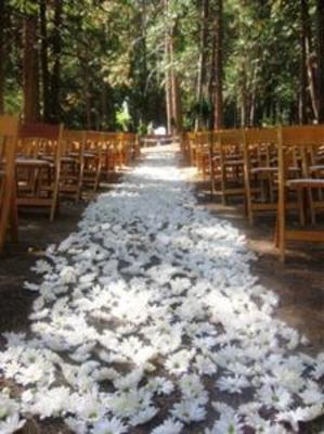 фото отеля Evergreen Lodge at Yosemite