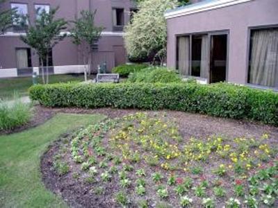 фото отеля Hampton Inn Walnut Grove Memphis