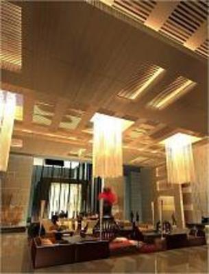 фото отеля Radisson Blu Hotel Amritsar